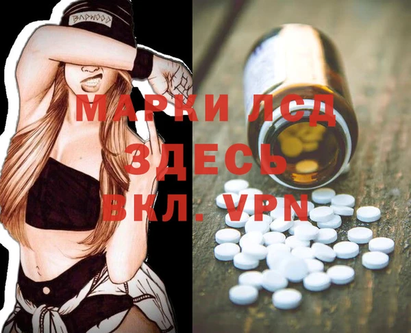 альфа пвп Новодвинск