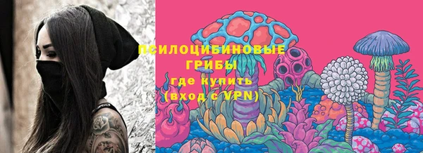 ПСИЛОЦИБИНОВЫЕ ГРИБЫ Алексин