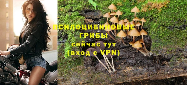 ПСИЛОЦИБИНОВЫЕ ГРИБЫ Алексин