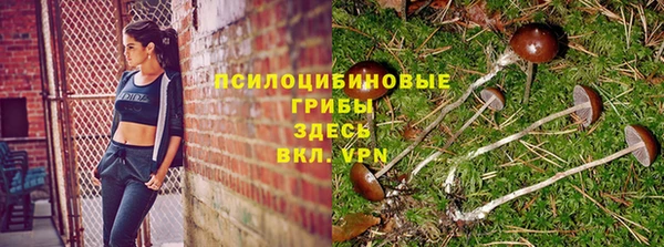 бутират Алексеевка
